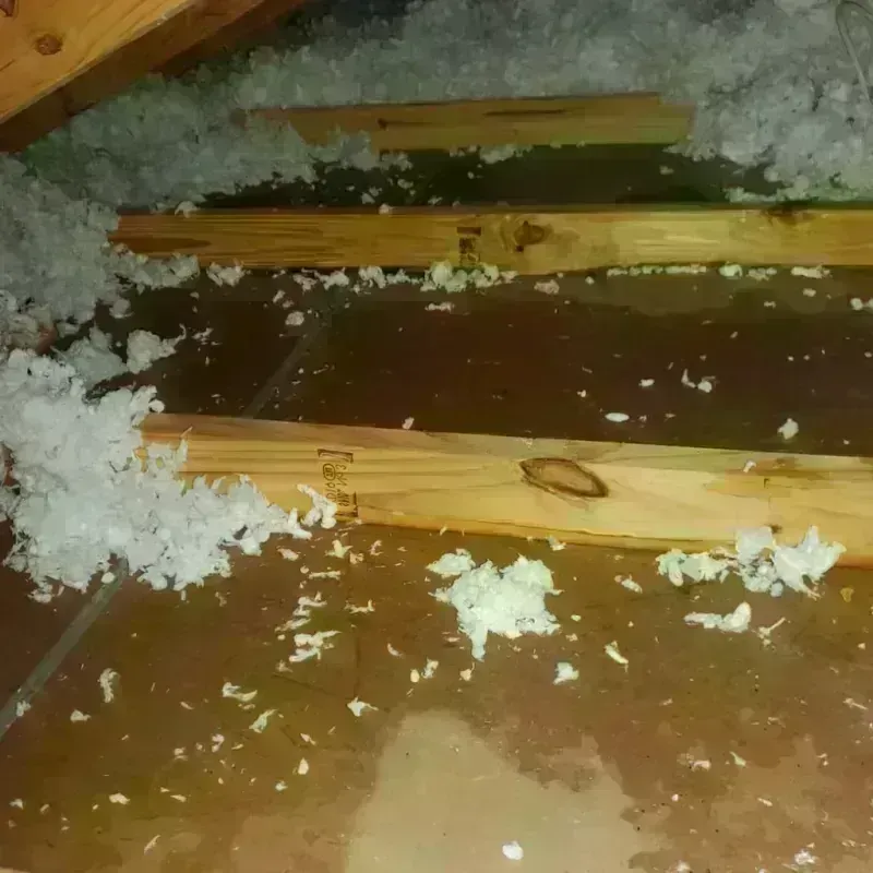 Attic Water Damage in Supreme, LA